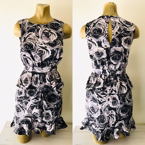 KATE YOUNG for Target ROSE Ruffle DRESS Size 2 - Picture 6 of 8